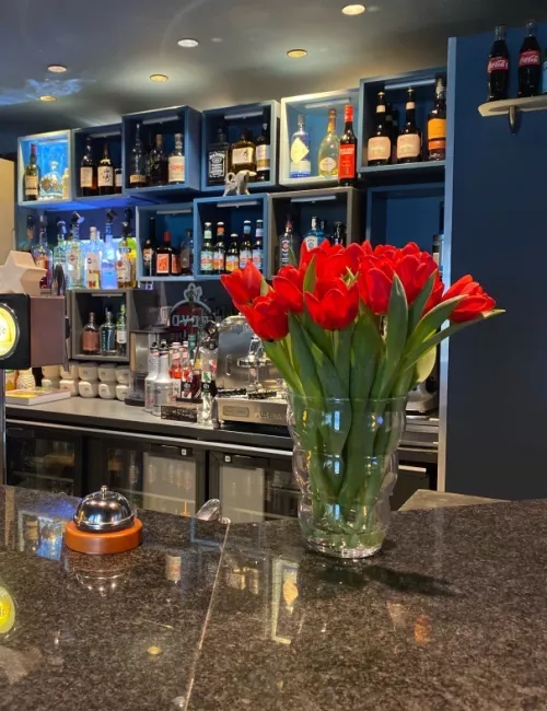 bar